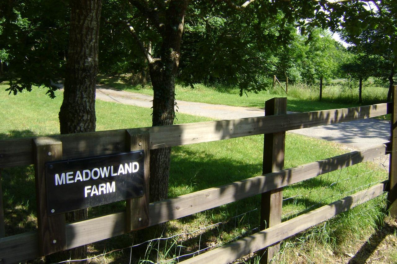 Meadowland Farm Panzió Dolton Kültér fotó